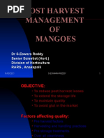 Post Harvest Management of Mangoes