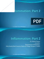 inflammation part 2