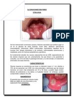 Ulceraciones Mayores