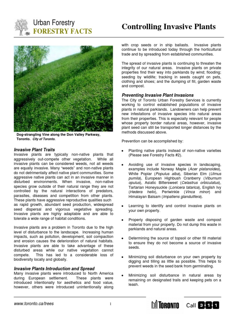 Controlling Invasive Plants in Toronto | PDF | Invasive Species | Weed