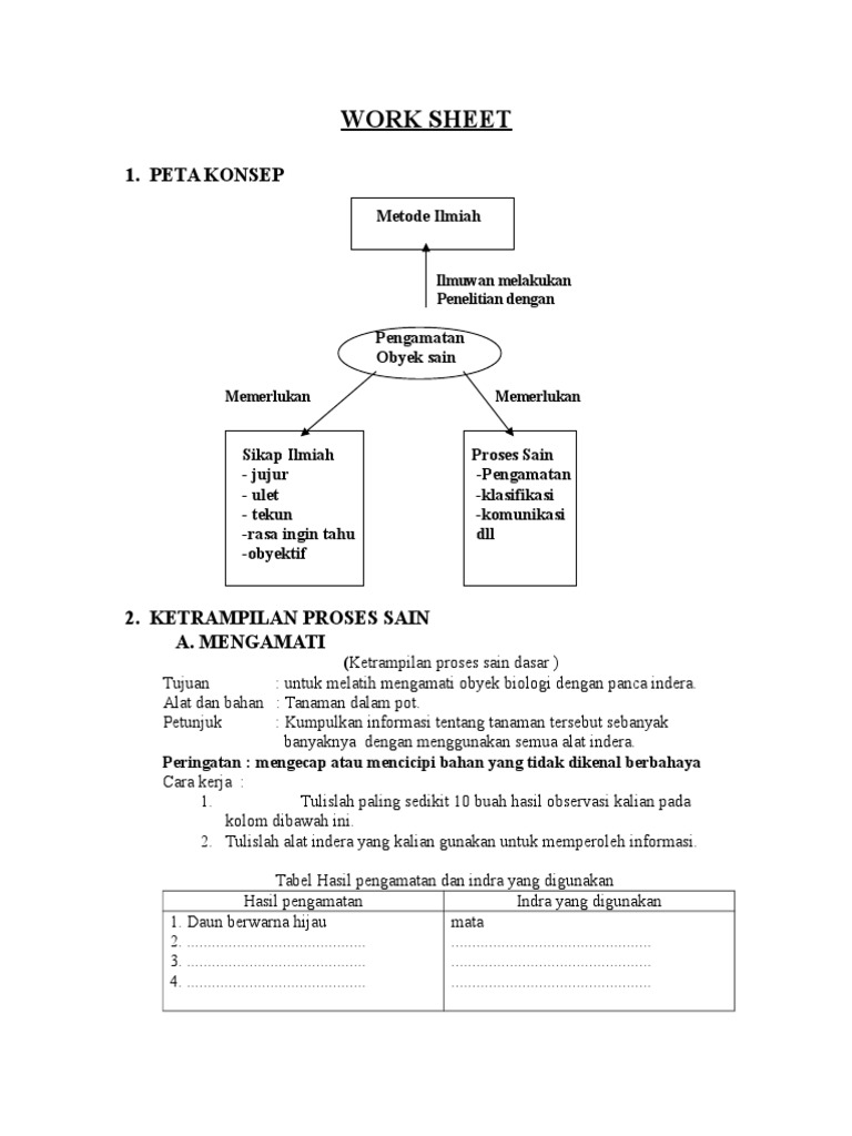 Contoh Lembar Kerja Siswa | PDF