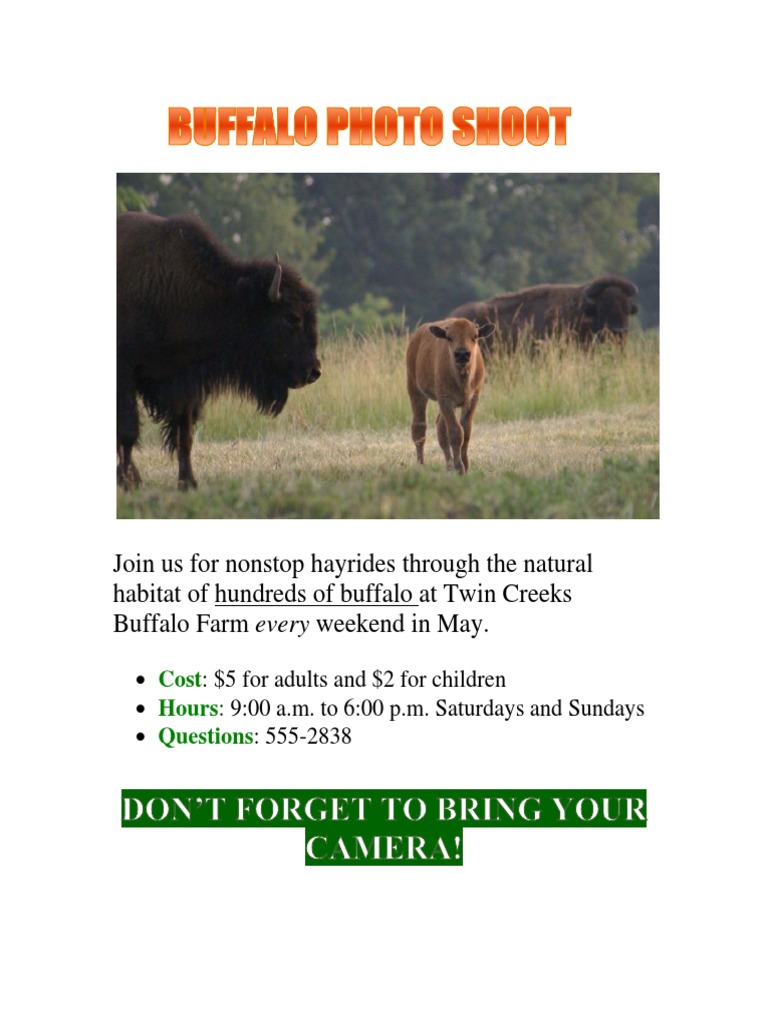 Buffalo Hayrides at Twin Creeks Farm | PDF | Cooking, Food & Wine