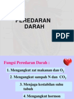 Peredaran Darah