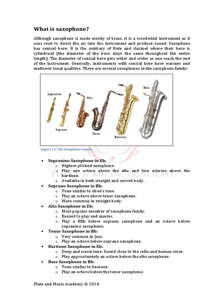 A Guide To Saxophone For Dummies PDF Saxophone Tenor Saxophone