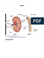 Ginjal Urinalisis Akhir