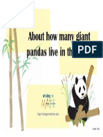 Animalposters Panda