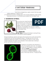 Lab 2 Membranes