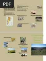 Monte de Llanuras y Mesetas, Tríptico