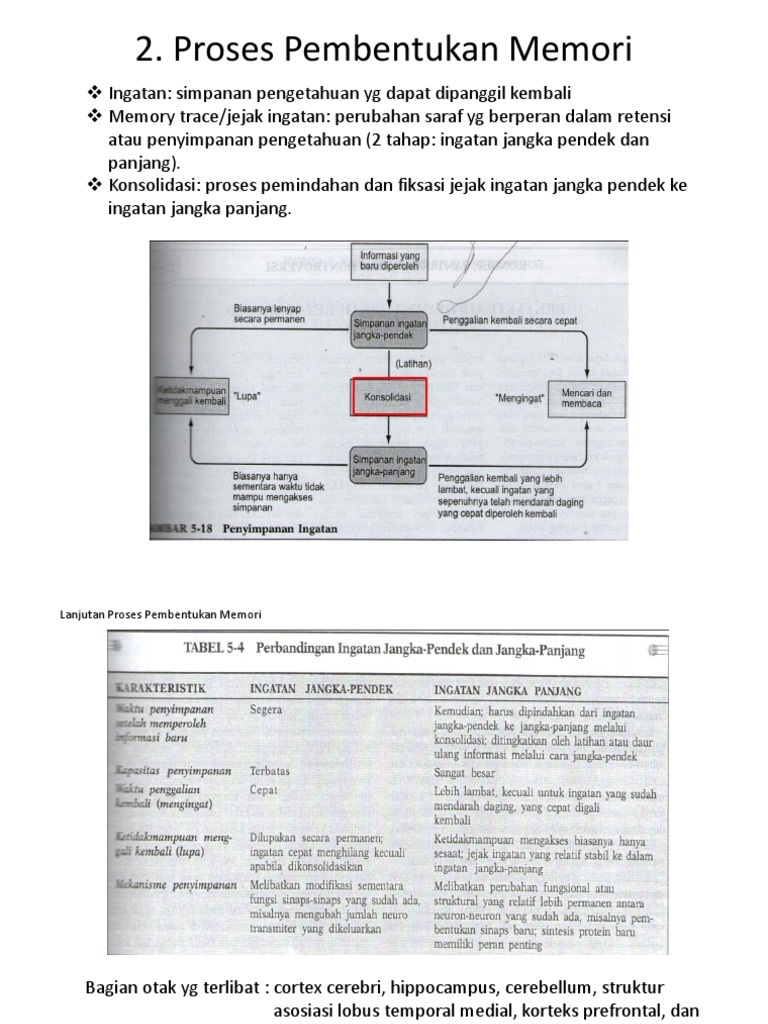 Proses Pembentukan Memori Pdf