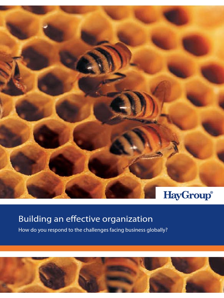 Hay Group's Strategies for Effective Organizations | PDF | Mergers And ...