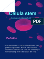 Celula Stem