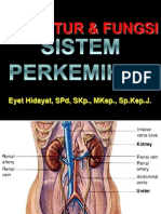 Anatomi Perkemihan 2014