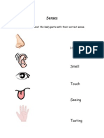 senses assessment