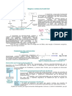 13º Tema - 2008 - Formaç▌o do acetil-CoA e Ciclo de Krebs_relatorio_2%5B2%5D