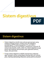 Presentasi Sistem Digestivus