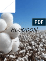 ALGODON