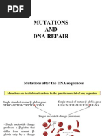 MolBiol_05_DNArepair