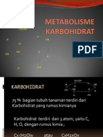 Metabolisme Karbohidrat