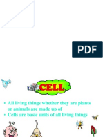 Cell