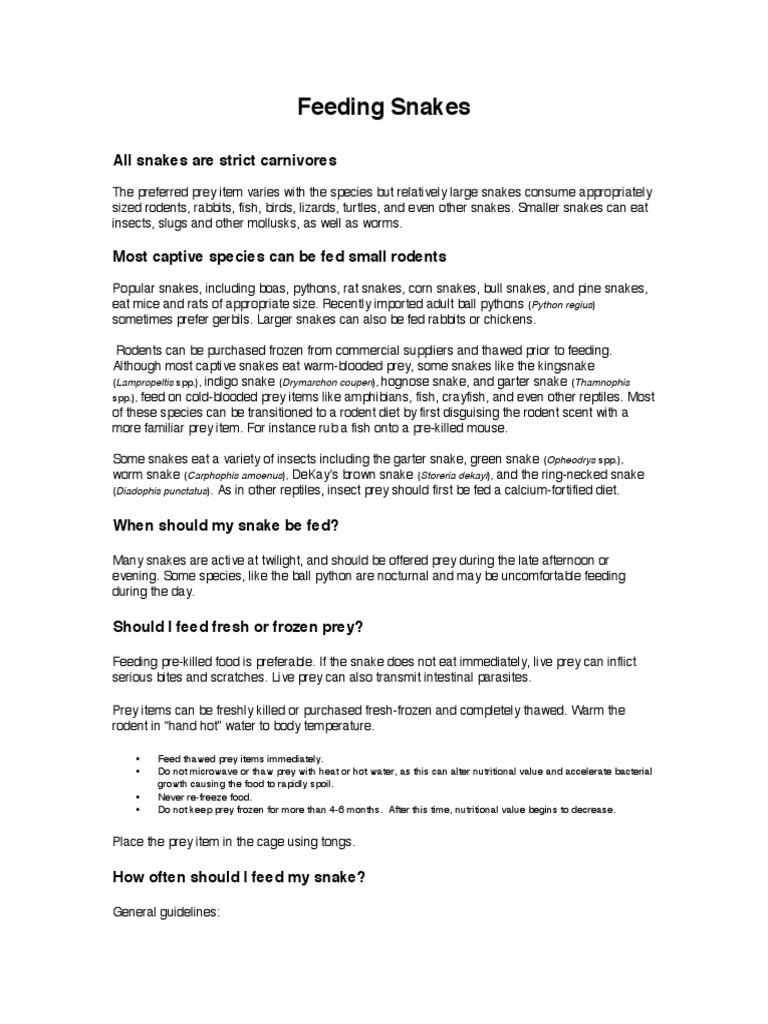 Snake Feeding Guide: Tips & Best Practices | PDF | Snake | Mouse