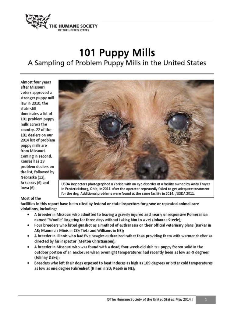 101 Puppy Mills Report 2014 PDF American Kennel Club Dogs