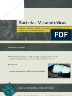 Bacterias Metanotróficas Por Diego Cordero Gallegos.