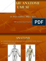 ANATOMI UMUM (INTRODUCTION).ppt