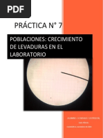 Levaduras - oficial.docx
