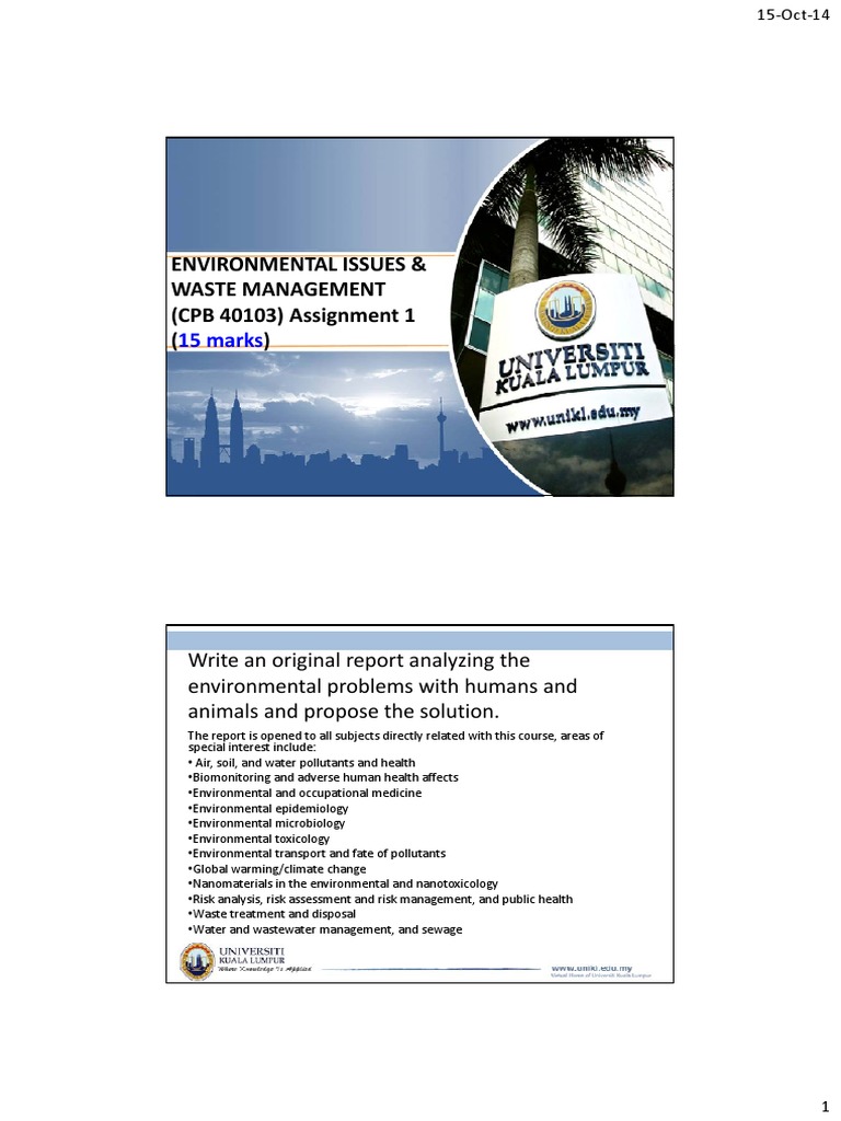Environmental Issues & Solutions Report | PDF
