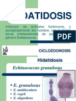 Hidatidosis: infección por Echinococcus