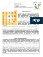 Caderno Pedagogico Deficiencia Intelectual Sindrome de Down PDF