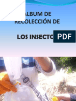 Album de Recoleccion