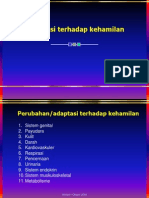 Adaptasi Terhadap Kehamilan