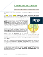 STRUTTURA_E_FUNZIONI_DELLE_PIANTE_1.pdf