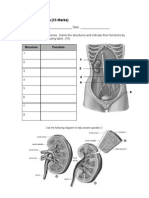 6-excretory-system-question