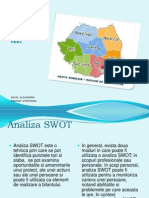 90201656 Analiza Swot a Regiunii de Vest