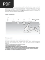 Evaluasi Sediaan Tablet