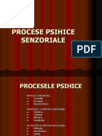 procesele_psihice_senzoriale.ppt