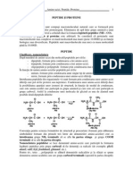 Amino-Acizi, Peptide, Proteine