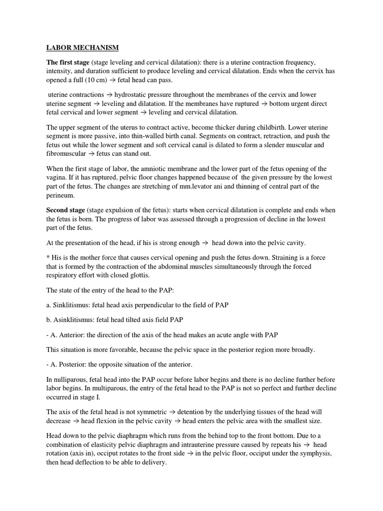 Labor Mechanism | PDF