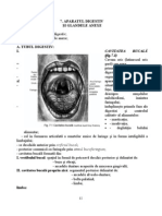 APARAT DIGESTIV