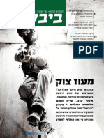 גליון ביבשה 29