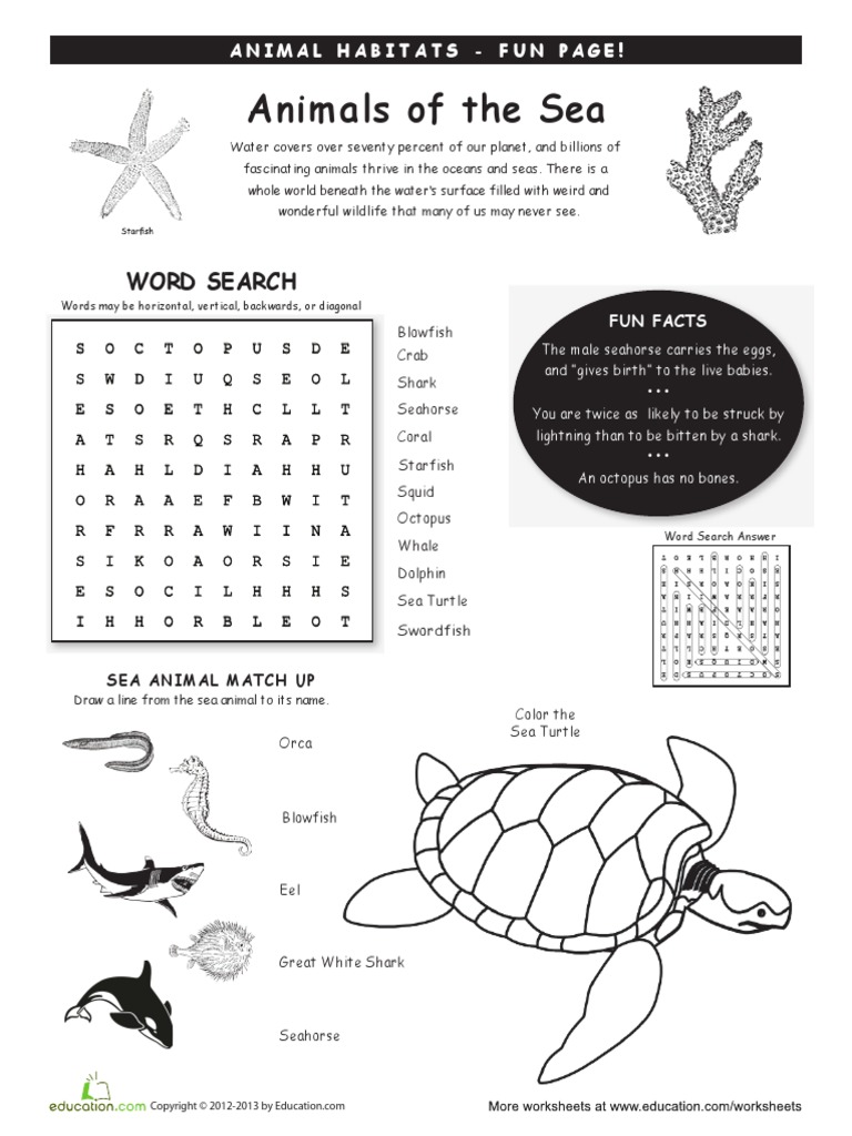 Animal Habitats Ocean