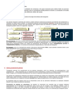 Guia Decimo Circulacion en Plantas