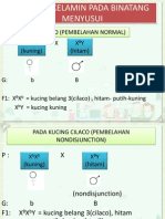 Rangkai Kelamin Pada Binatang Menyusui (Dhuhana)