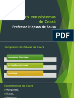 Principais Ecossistemas Do Ceará