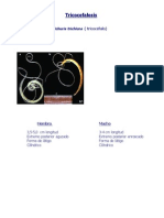 Tricocefalosis