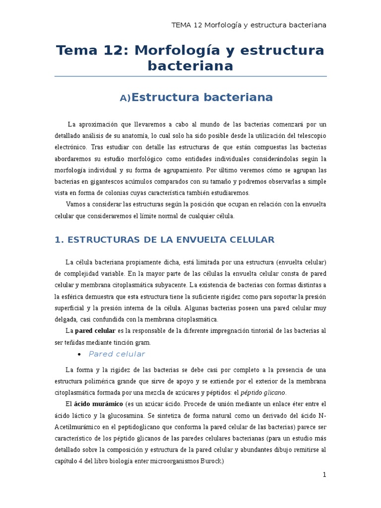 Morfología y Estructura Bacteriana | PDF | Las bacterias | Biología ...