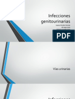 Infecciones Genitourinarias [Autoguardado] (1)
