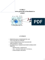 CURS 2.pdf